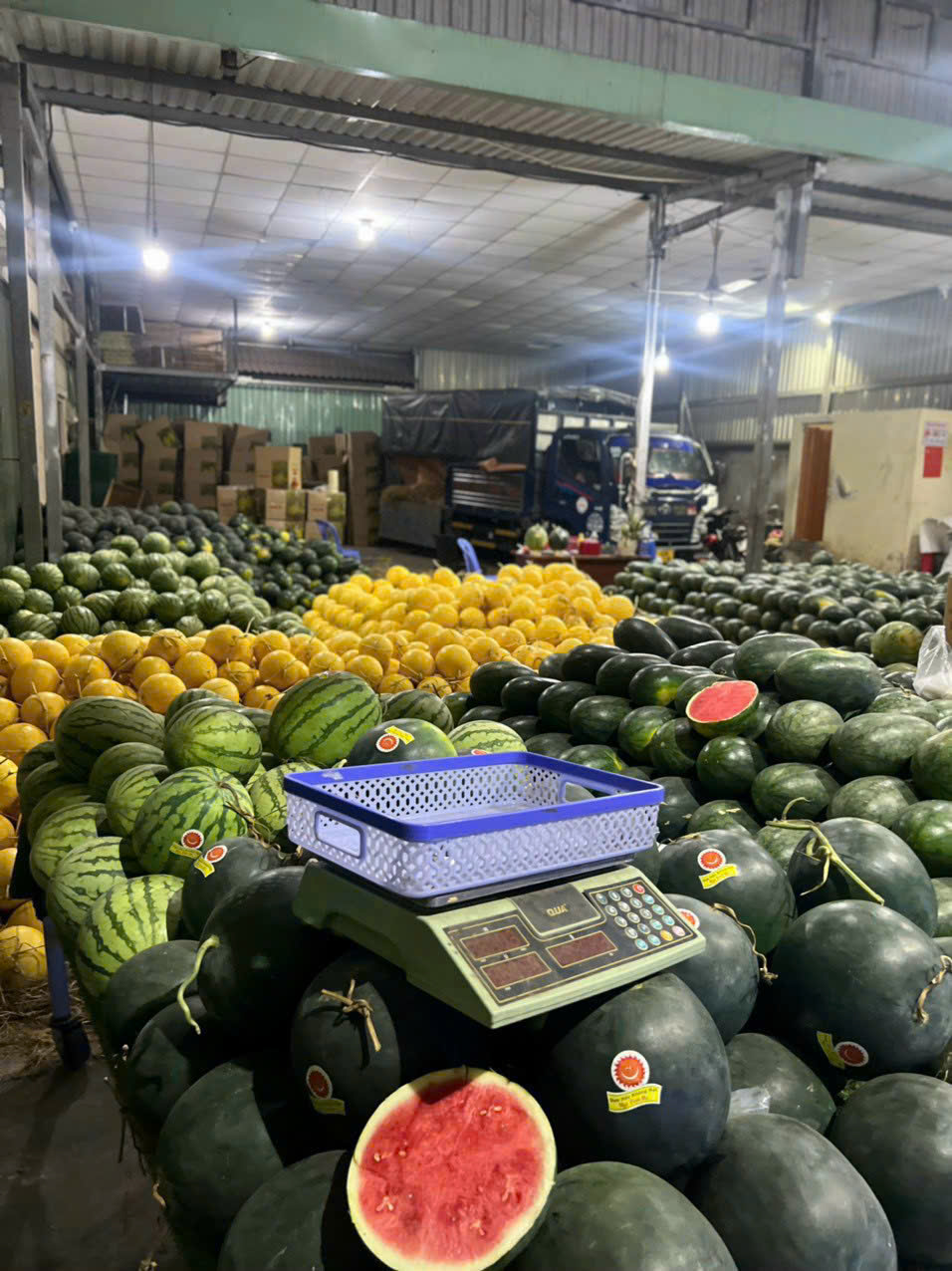Sỉ Dưa Hấu Tết Số Lượng Lớn Tại TpHCM - Đồng Nai - Bình Dương