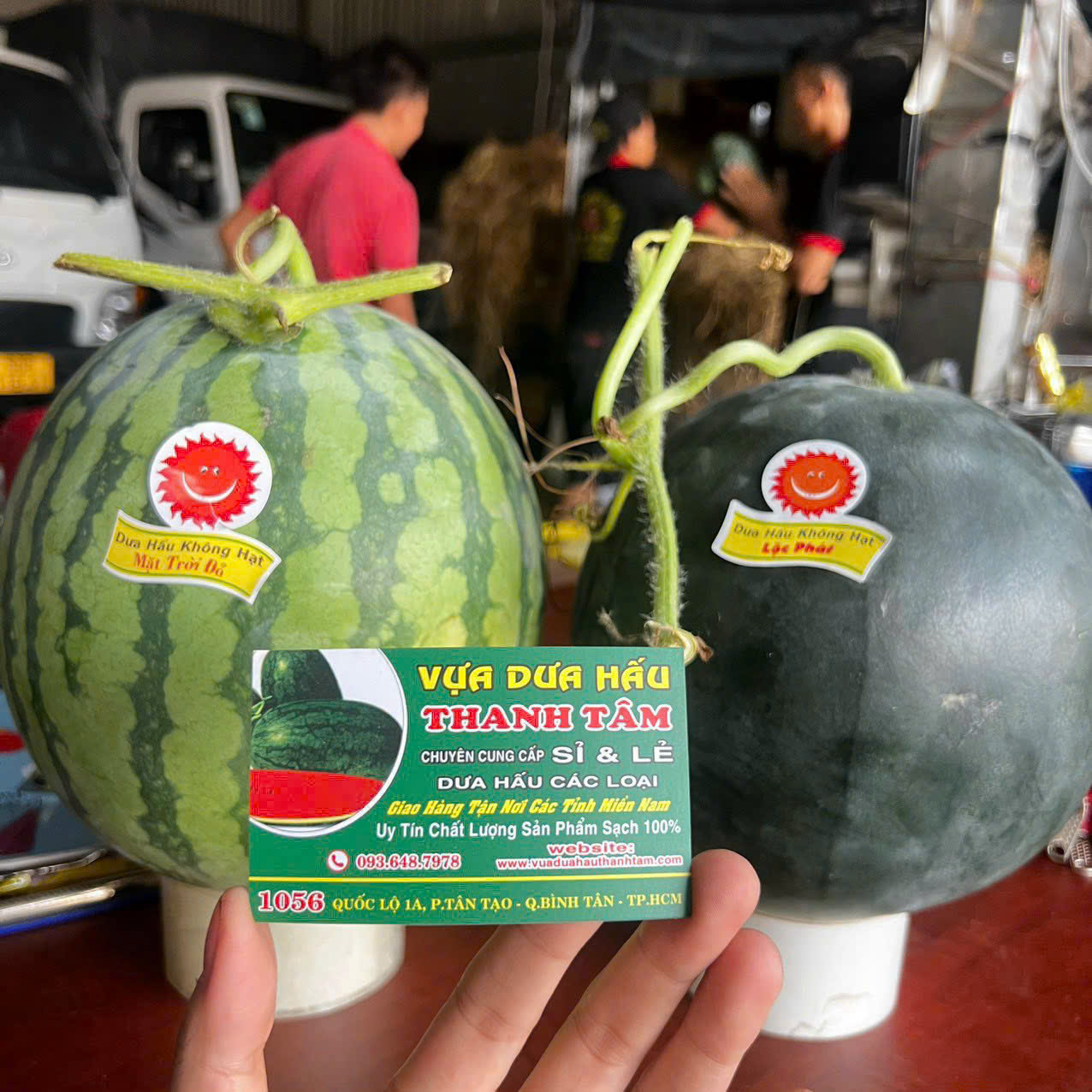 Dưa Hấu Long An Tròn Bán Tết Giá Sỉ Tại TpHCM